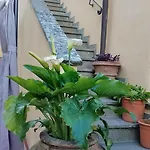 Emmanuele